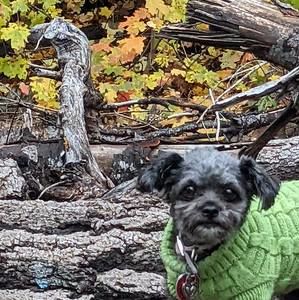 Meet your Posher, Mary